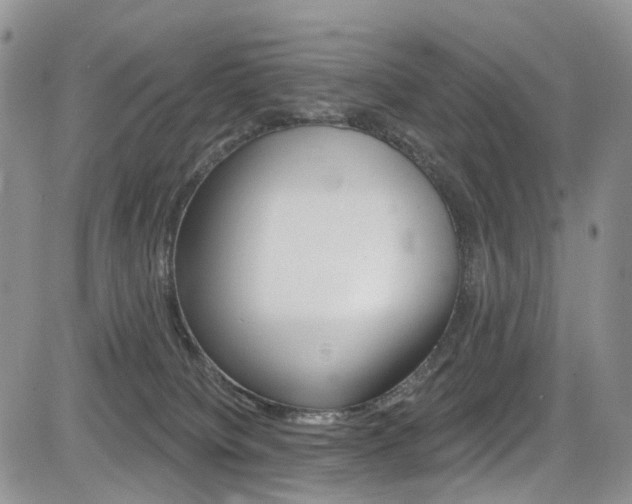 X0000085800084200703161011