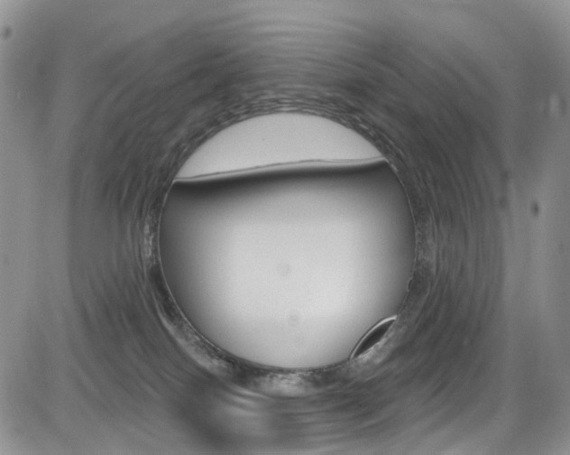 X0000085800086200703161011