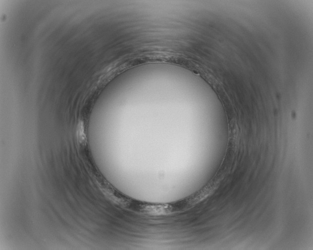 X0000085800089200703161011