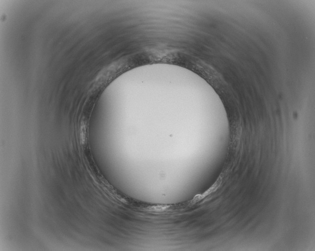 X0000085800090200703161011