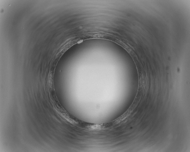 X0000085800092200703161011