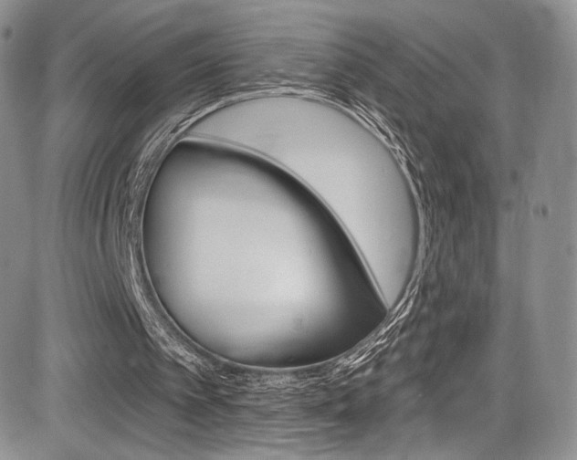 X0000085800097200703161010