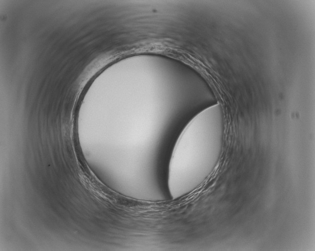X0000085800100200703161010