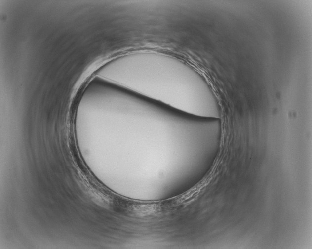 X0000085800102200703161010