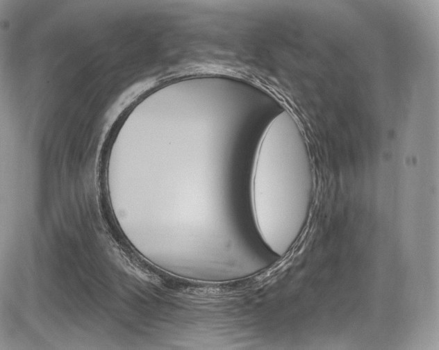 X0000085800104200703161010