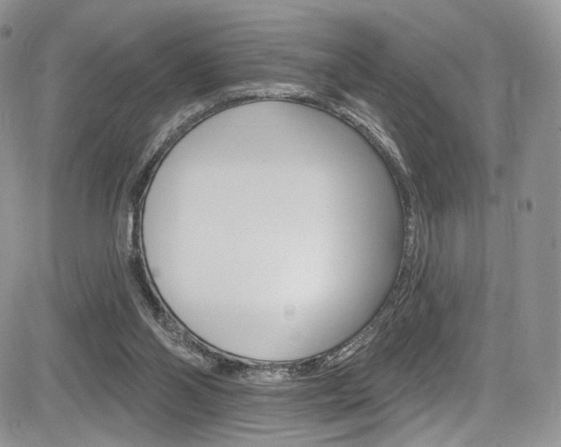 X0000085800110200703161010