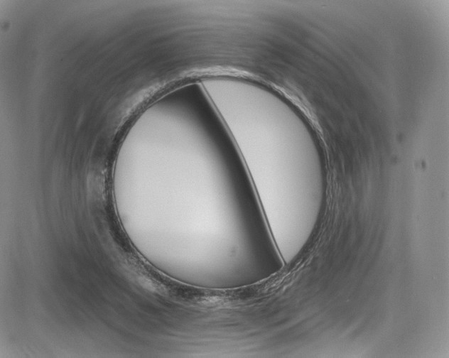 X0000085800111200703161010