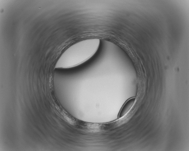 X0000085800144200703161009