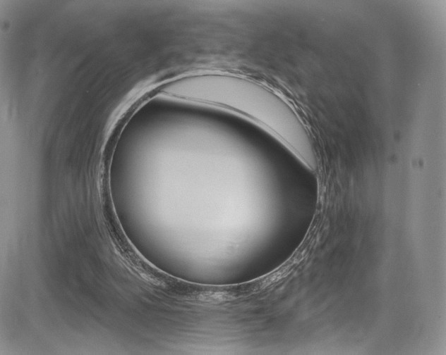 X0000085800152200703161008