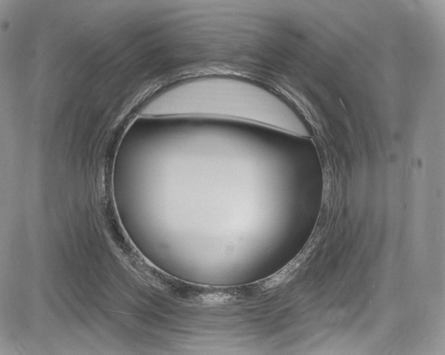 X0000085800158200703161009