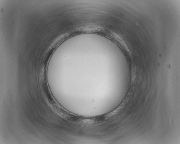 X0000085800163200703161009