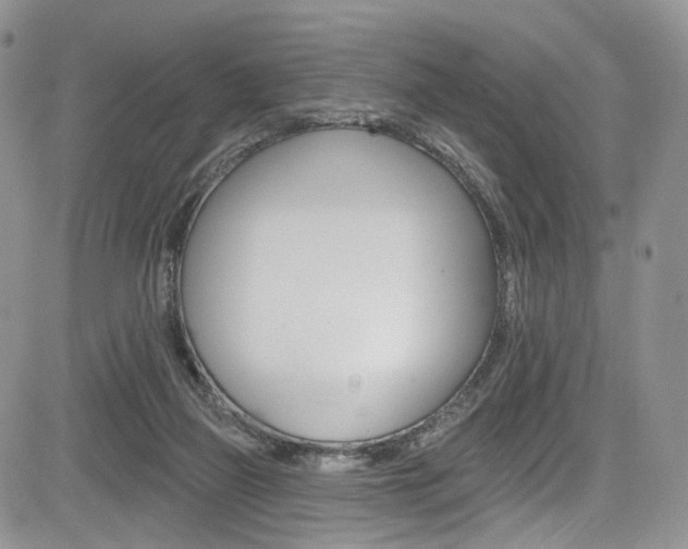 X0000085800165200703161009