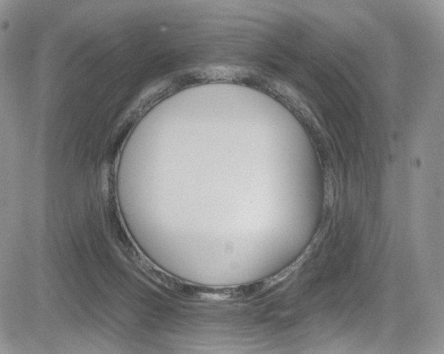 X0000085800167200703161009