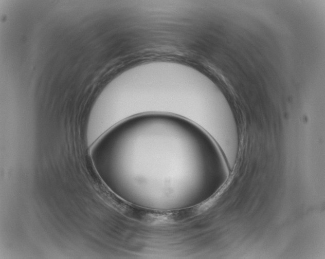X0000085800170200703161009