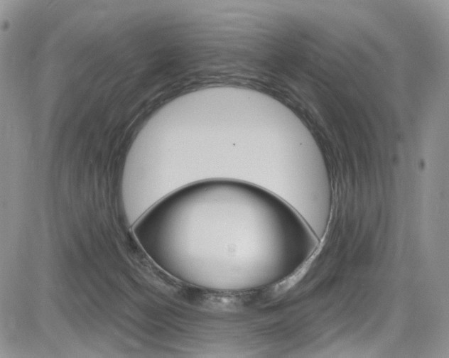 X0000085800174200703161009