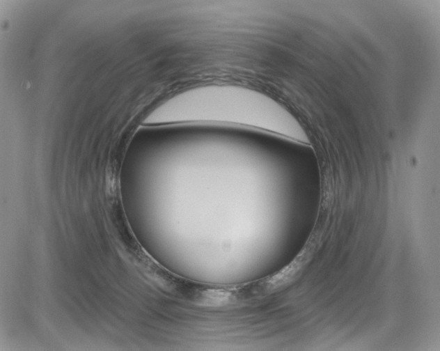X0000085800176200703161009