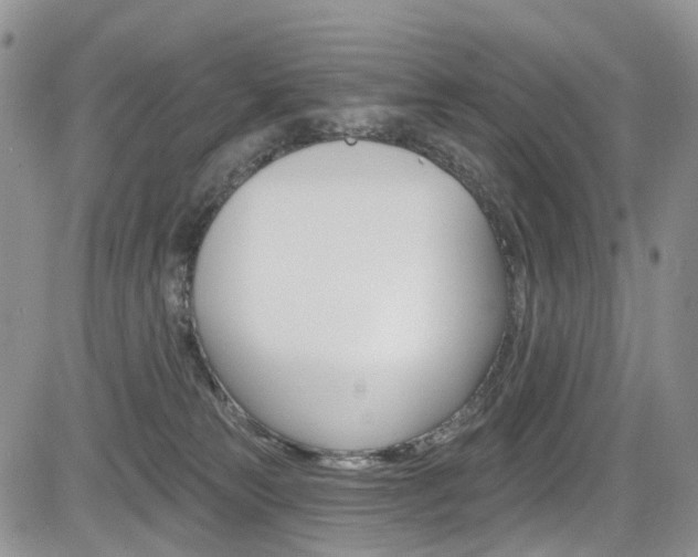 X0000085800181200703161009