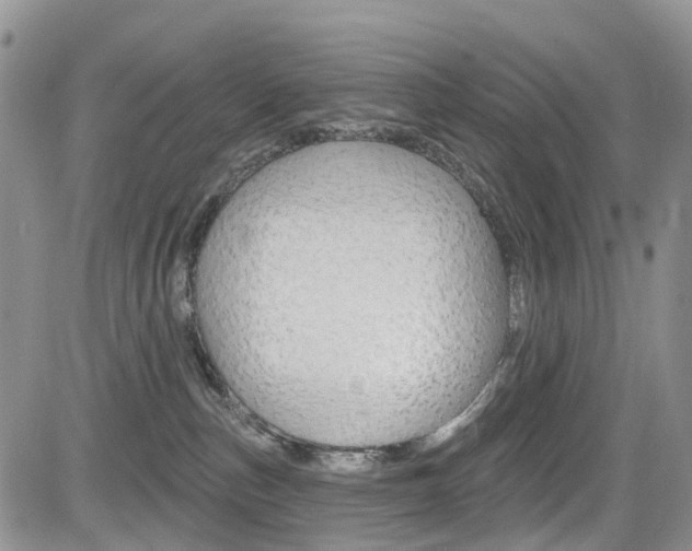 X0000085800187200703161009