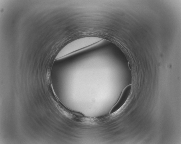 X0000085800192200703161009