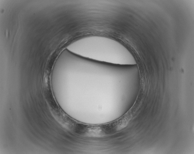 X0000085800214200703161008