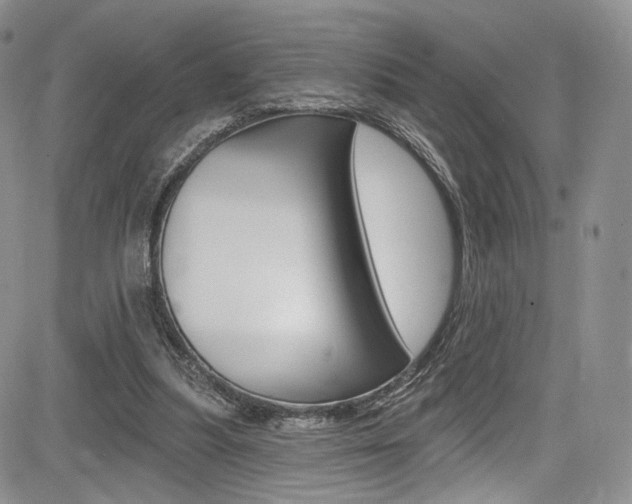 X0000085800251200703161007