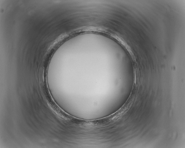 X0000085800253200703161007