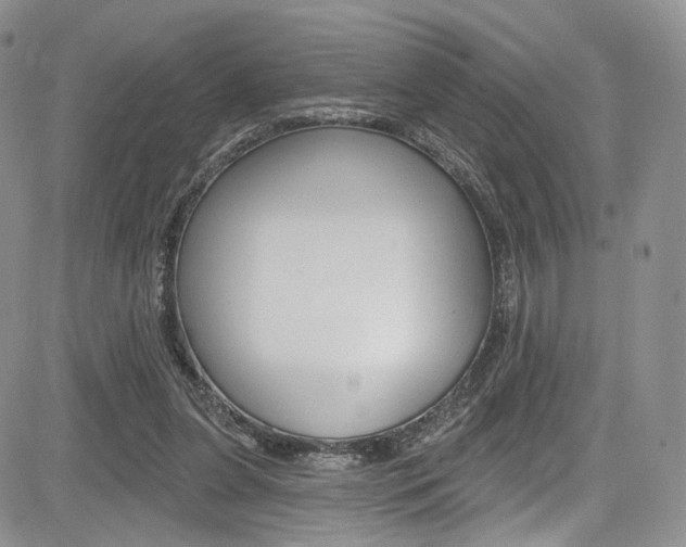 X0000085800255200703161007