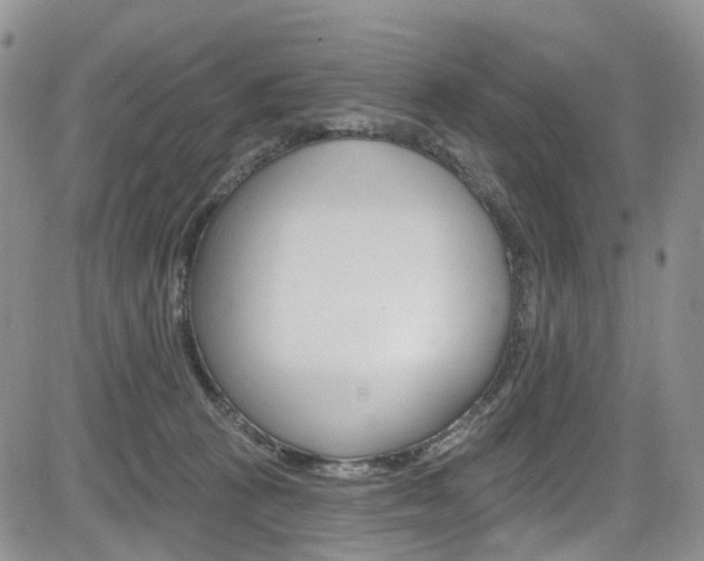 X0000085800273200703161007