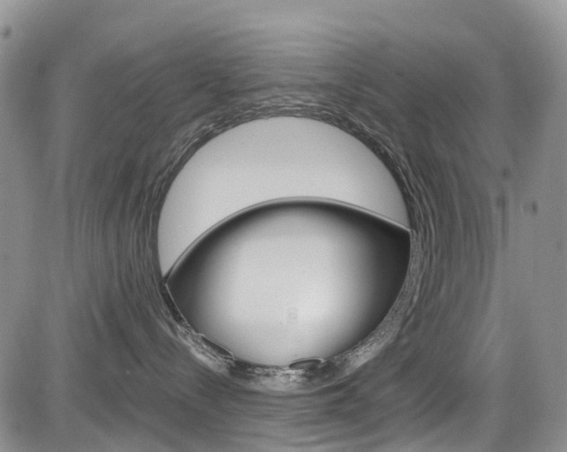 X0000085800288200703161008