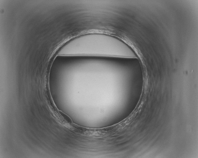 X0000085800297200703161007