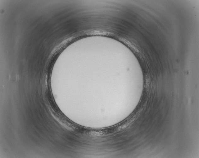 X0000085800302200703161006