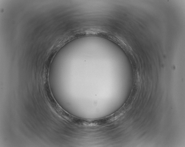 X0000085800311200703161006