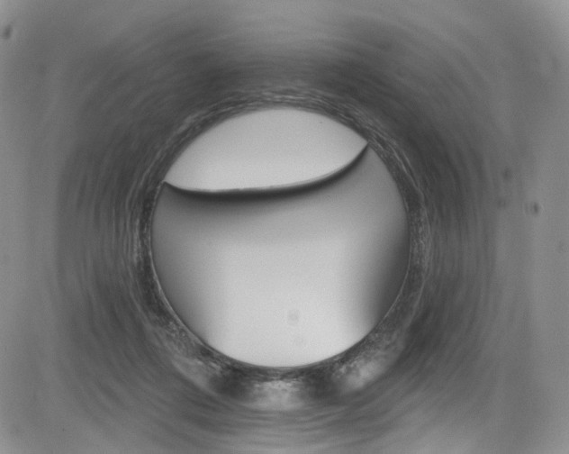 X0000085800312200703161006
