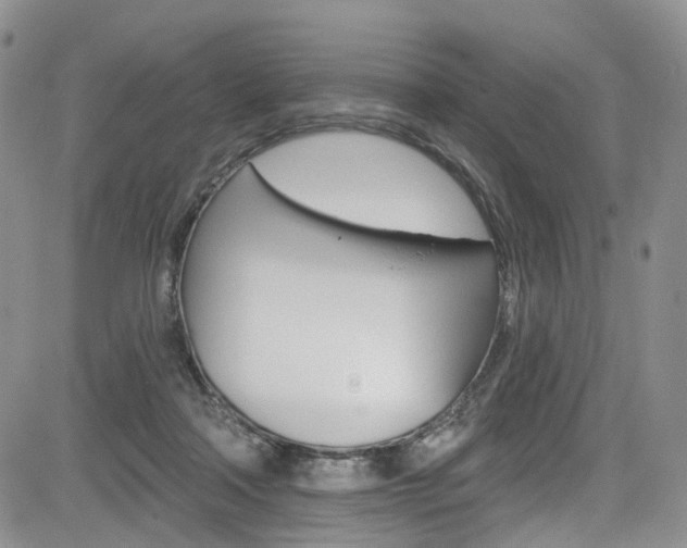 X0000085800314200703161006