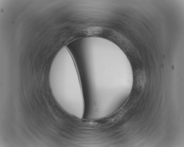 X0000085800316200703161006