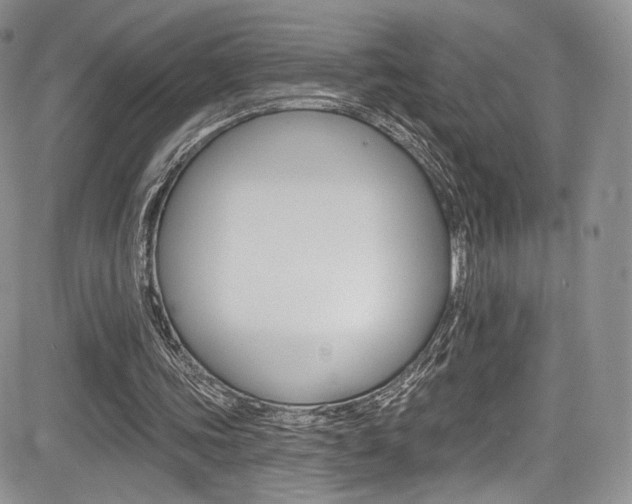 X0000085800339200703161005