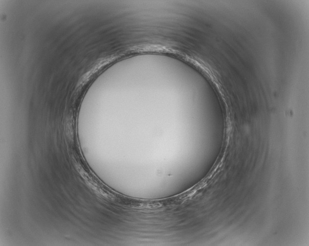 X0000085800345200703161005