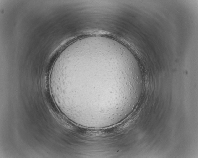 X0000085800351200703161005