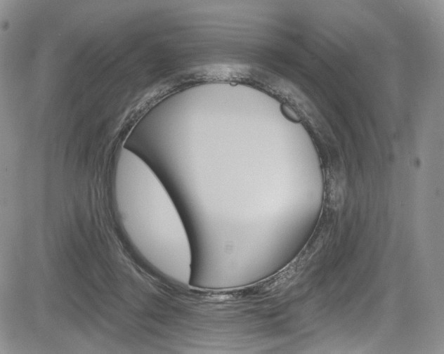 X0000085800357200703161005