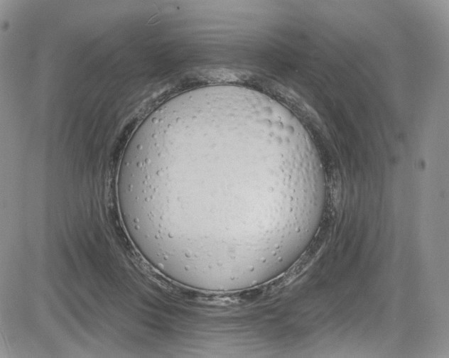 X0000085800359200703161005
