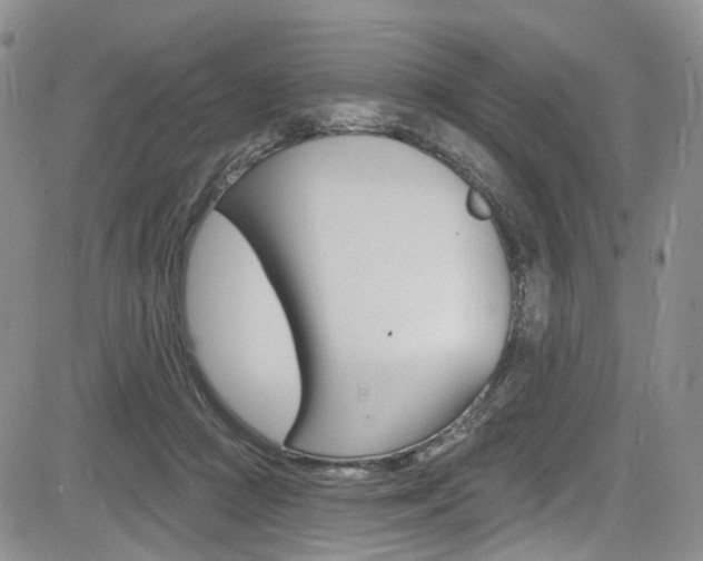 X0000085800361200703161006