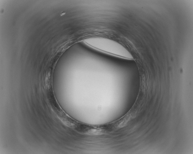 X0000085800364200703161006