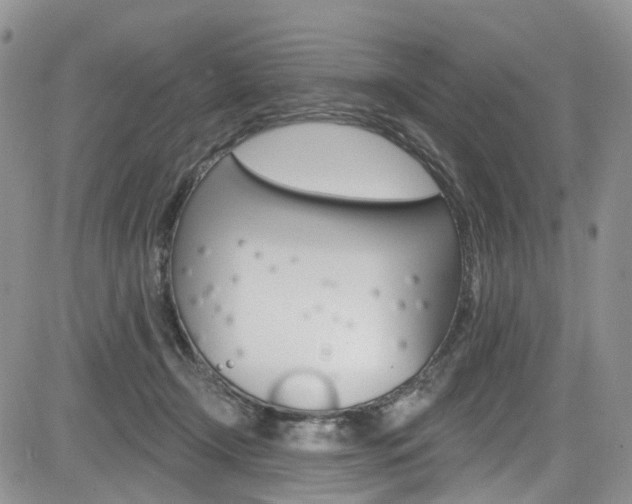 X0000085800366200703161006
