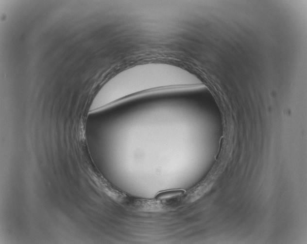 X0000085800384200703161006