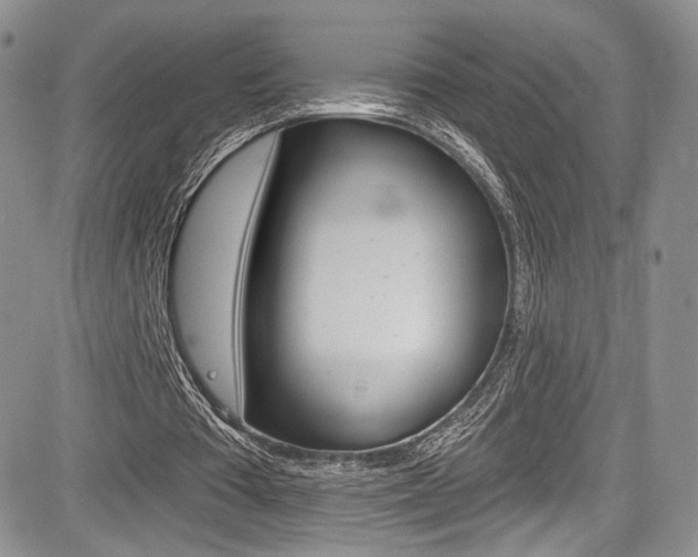 X0000085800385200703161005
