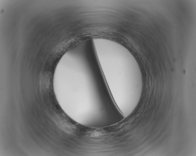 X0000085800412200703161005