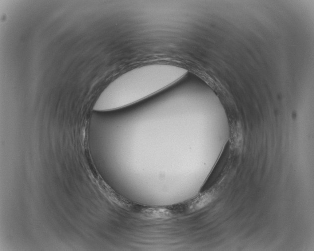 X0000085800427200703161004