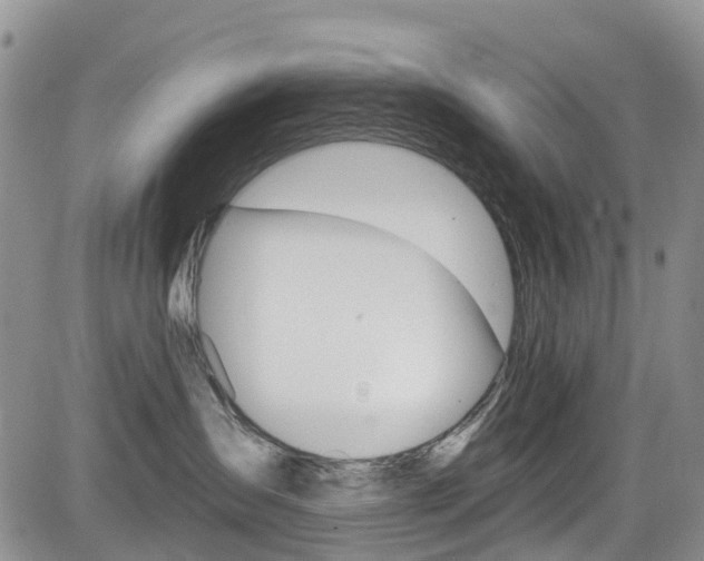 X0000085800431200703161004