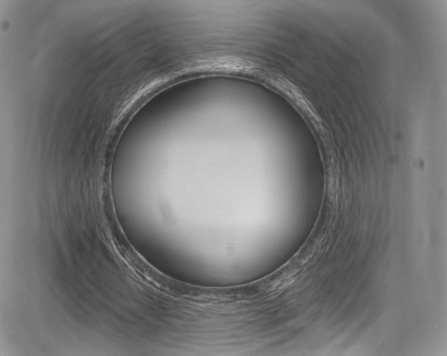 X0000085800434200703161004