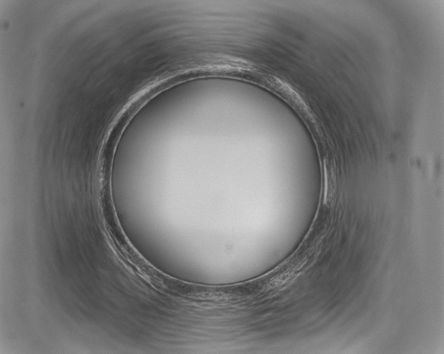 X0000085800435200703161004